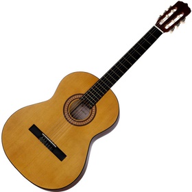 گیتار  پارسی مدل M2
