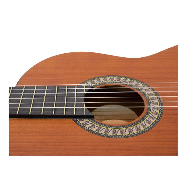 گیتار  پارسی مدل M3